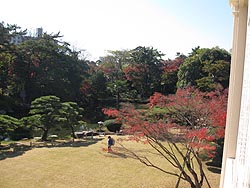 K猩