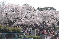 璹Pւ̓
