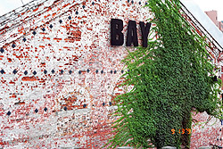 BAY͂
