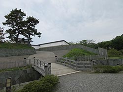 ꂽ