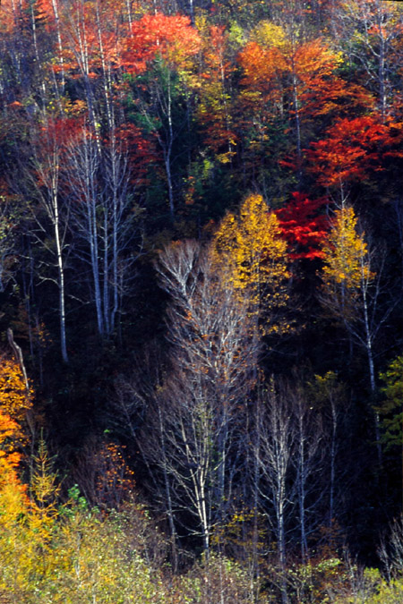小峠の紅葉