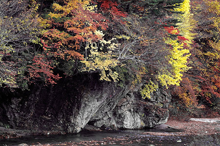 屏風岩の紅葉