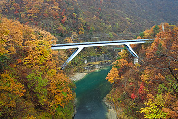 阿賀川の紅葉