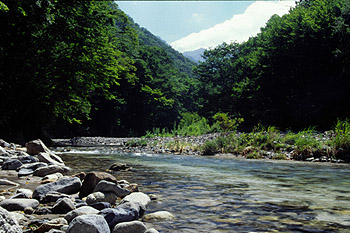 鱒沢渓谷