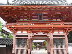 ���z�� �R��
