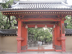 �\���(�Ԗ�) 