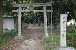 ��{�����{