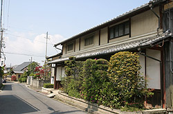 ���U���̉�