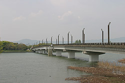 ��A�����ւ̋�