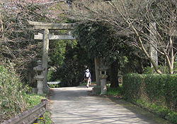 ����_�Ё@����
