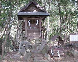 ���o�_�� 