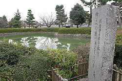 ���r�Ɛ����q�K�̋�� 