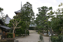 �@�N���@�S�i