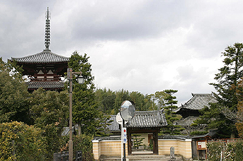 �@�֎��S�i
