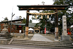 ���c�_�� ����
