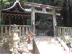 �o�_���Y�_��
