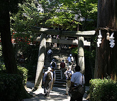 �Βi�̏�ɔq�a�Ɩ{�a