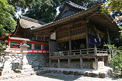 �����_�� 