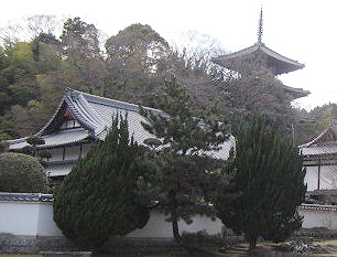 ���V�V�Ɠ���