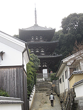 �O�d�� ����
