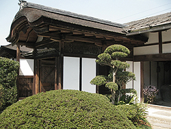 ���n���@ 