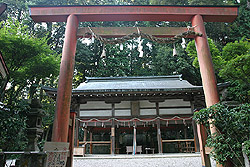 ��x�z�R���_��
