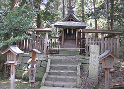 ����q�_�� 