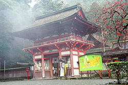 ���{�{�O��
