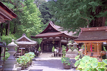 ��Ԏ�����
