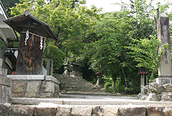 �G�X�q�|��