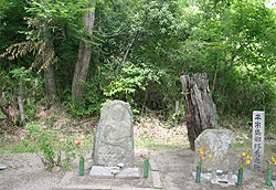 ���@������ 