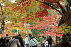 �Q���̂��ӂ��l�X