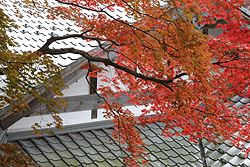 �{���̍g�t