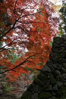 �����Ղ̐Ί_ 