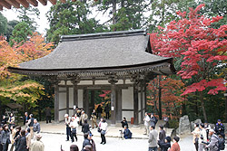 ��V��̍L�� 