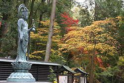 �\��ʊω��� 