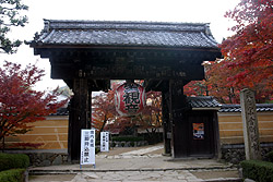 �����֎��̑���