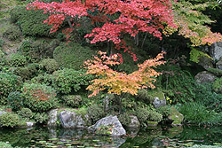 �r�򎮉�V�뉀 