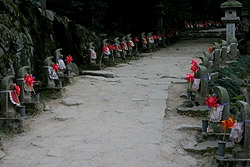 ��̒n����