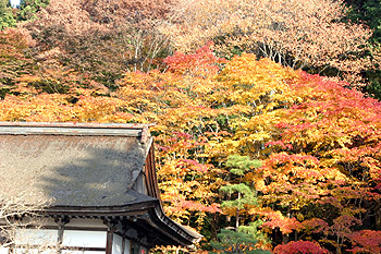 �S�ώ��̍g�t 