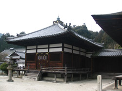 �����얀��
