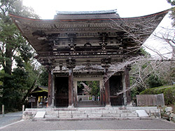 ���鎛�m����