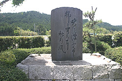 㓇Sт̋艮