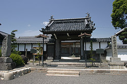 햾R