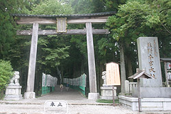 �F��{�{�̒���