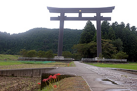 ��֌��̑咹��