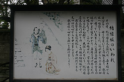 ������̂����