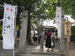 ��{�����{