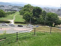 ����t�߂̐����
