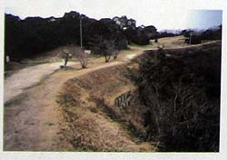 ���Ԓn��y��
